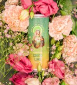 web-Maria-The-Holy-Spirits_Nojito_3_RGB.jpg