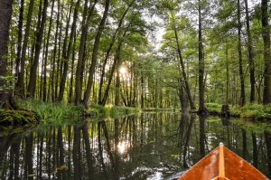 Vulkaneifel statt Island, Spreewald statt Amazonas