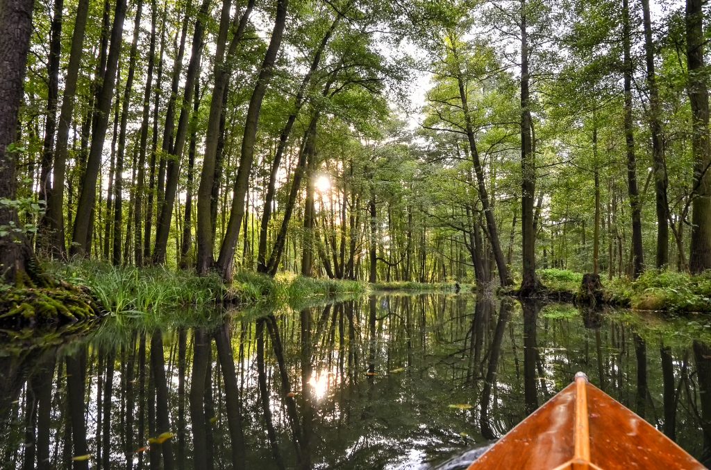 Vulkaneifel statt Island, Spreewald statt Amazonas