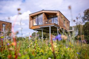 Übernachten im Baumhaus