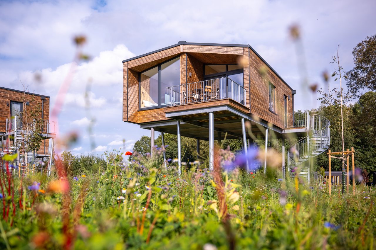 Übernachten im Baumhaus