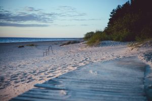 Wellness in Estland zwischen Wald, Moor und Rauchsauna