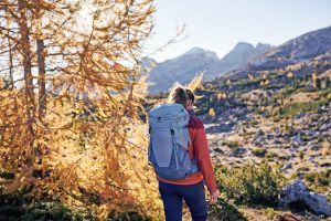 Goldener Herbst in Südtirol